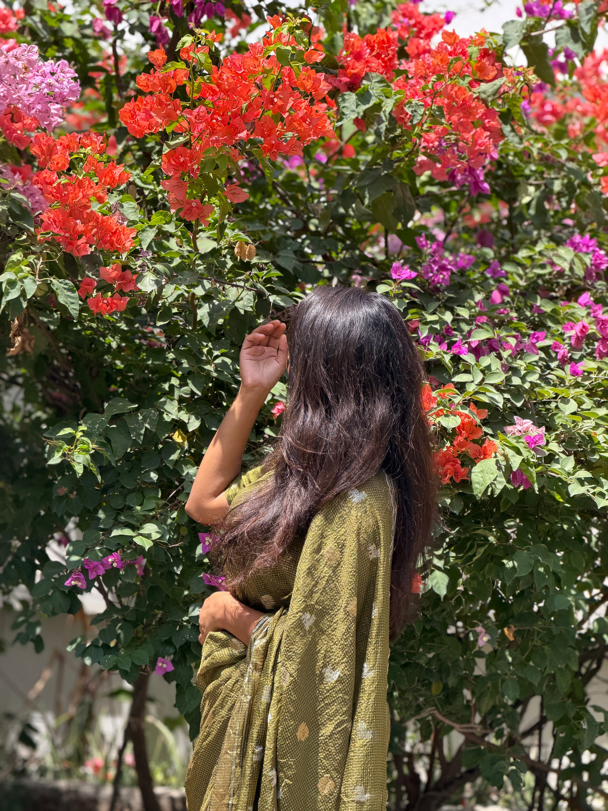 Mylapore Green